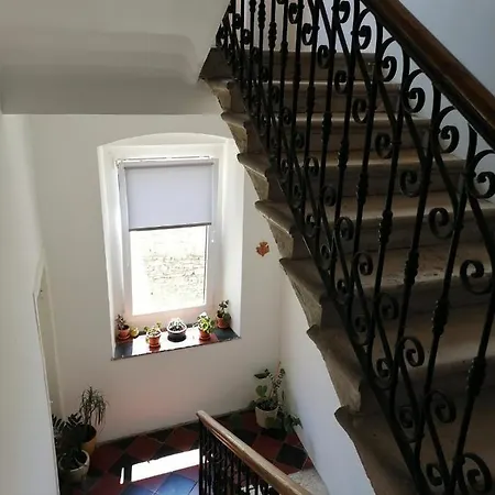 Hana - Attic In City Center Apartment